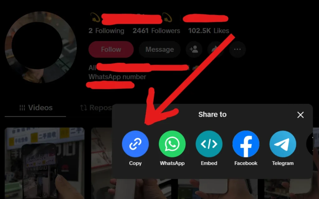 Copy the User Name or URL from Tiktok
