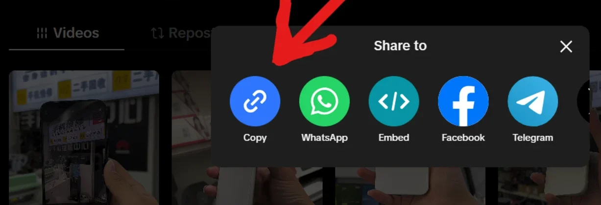 Copy the User Name or URL from Tiktok