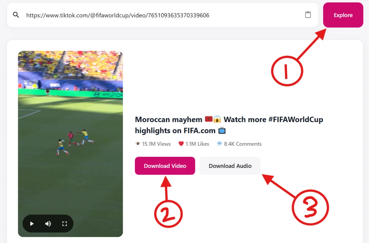tiktok video downloader main screen