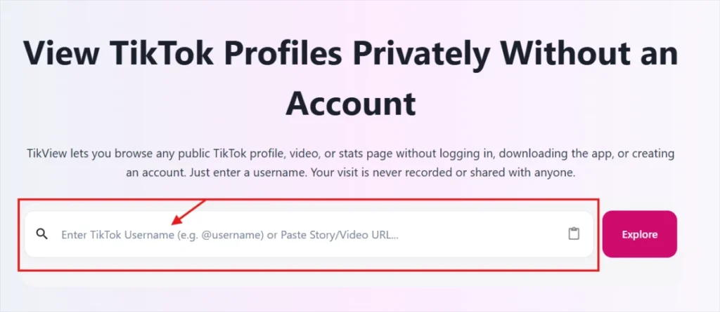 tiktok profile viewer privately - username screen