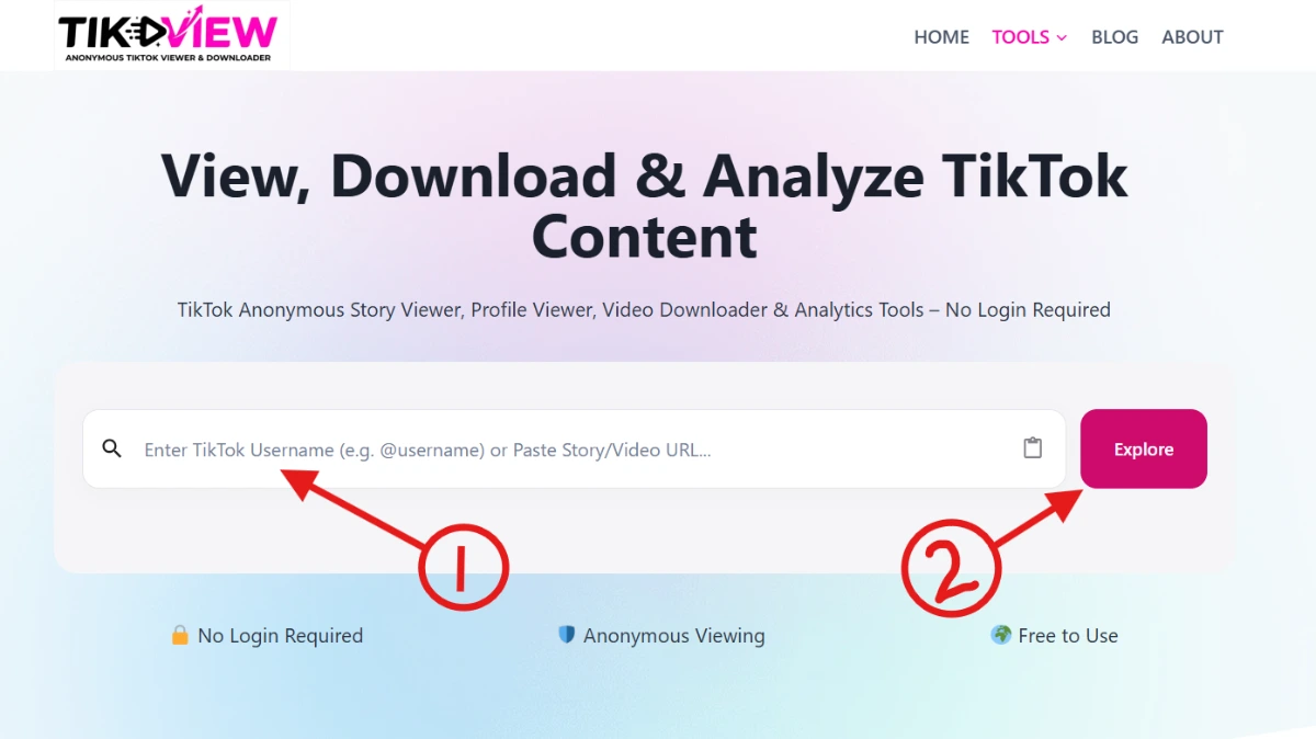 TikView.io homepage showing input box with username or URL and Explore Button