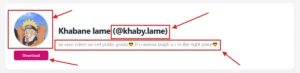 tiktok profile data - showing user name, profile image, with tiktok profile pic download button