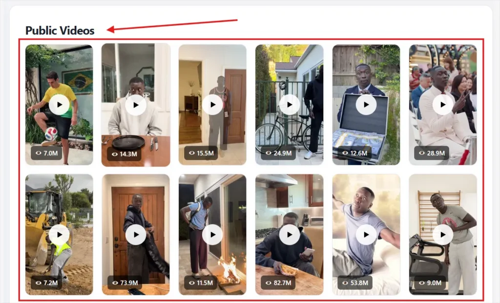 showing all public video gallary on profile