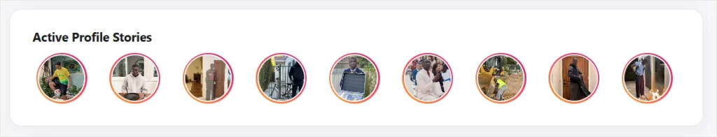 tiktok profile viewer - showing all the active stories