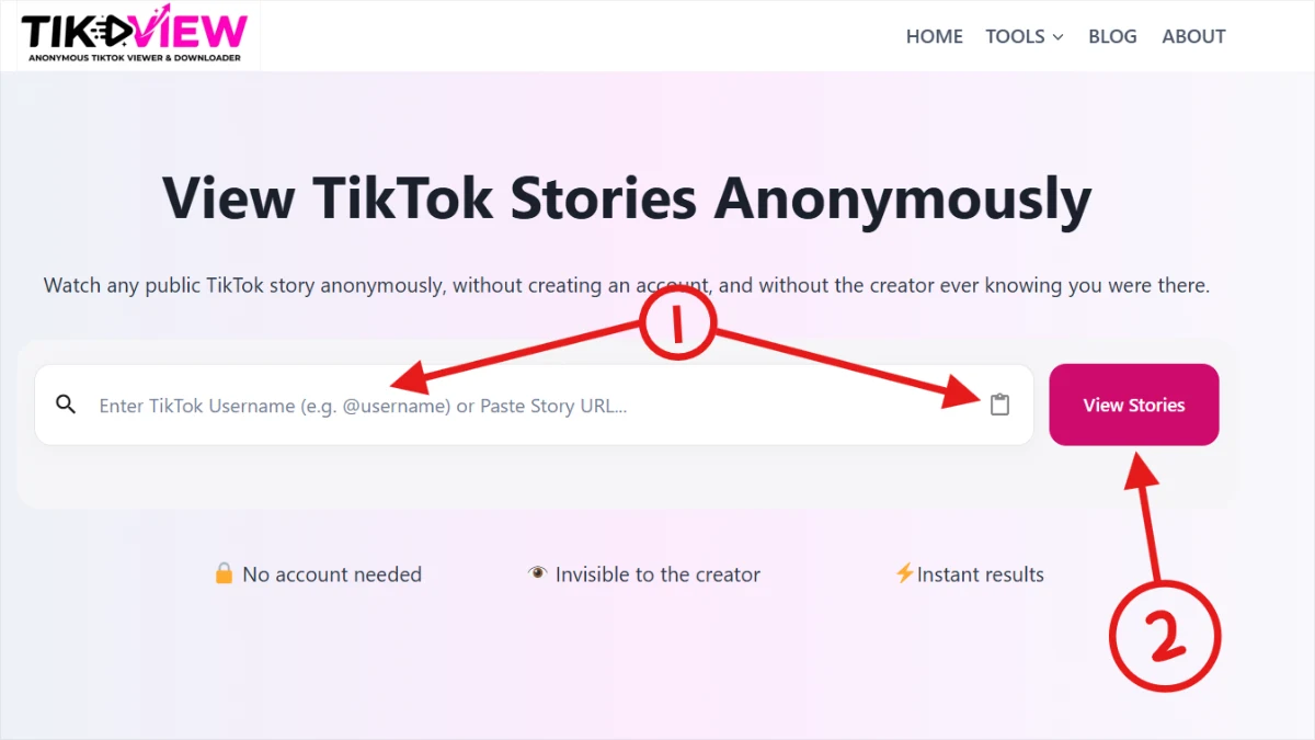 showing how to paste the story url in the search box