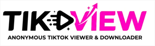 TikView logo