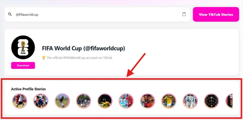TikTok Story Viewer -displayed all active stories for the user name