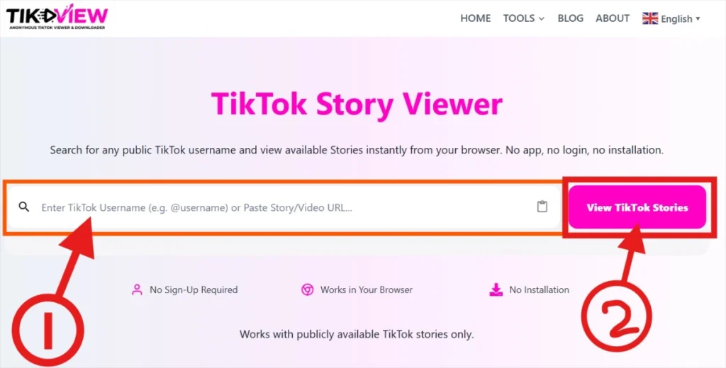 Entering a TikTok username into TikView Story Viewer