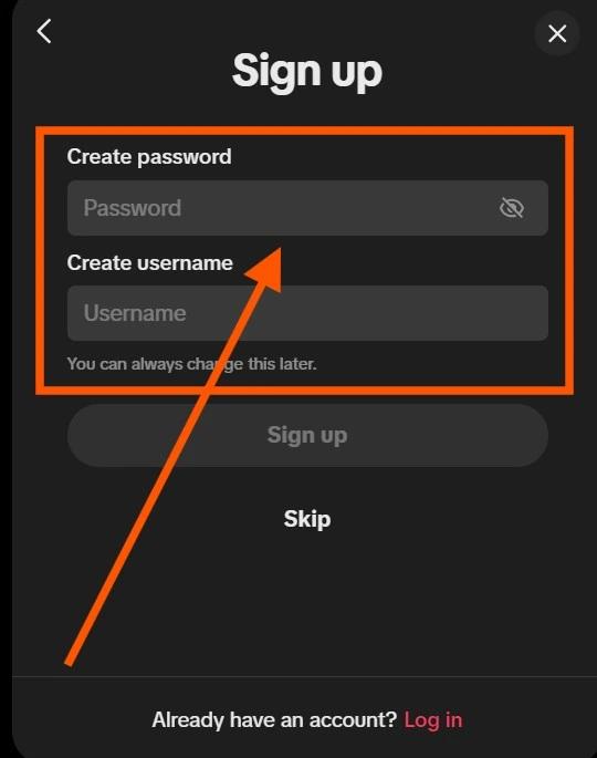 password screen on tiktok signup form