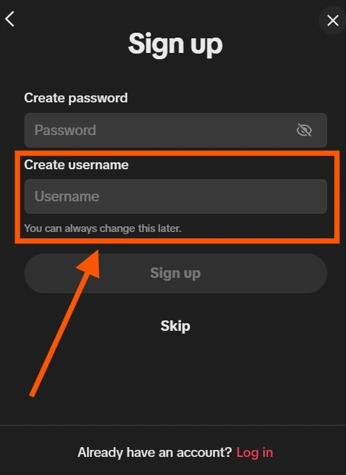 user name field on tiktok signup form